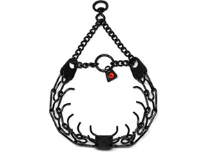 Best Prong Collar